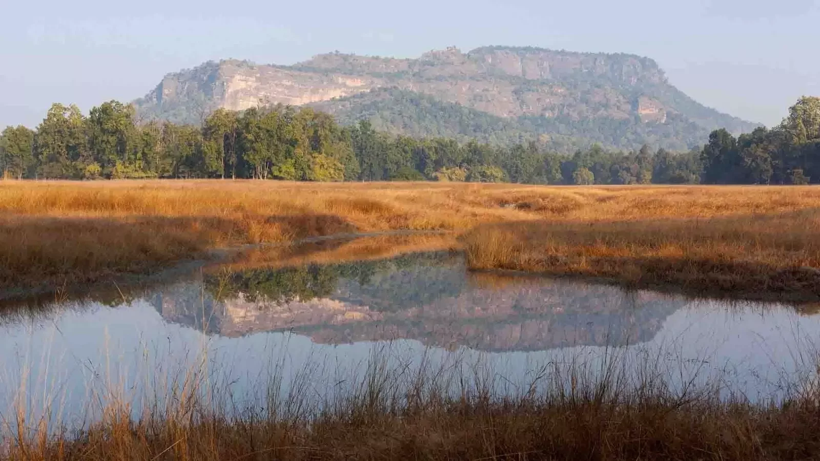 Bandhavgarh National Park