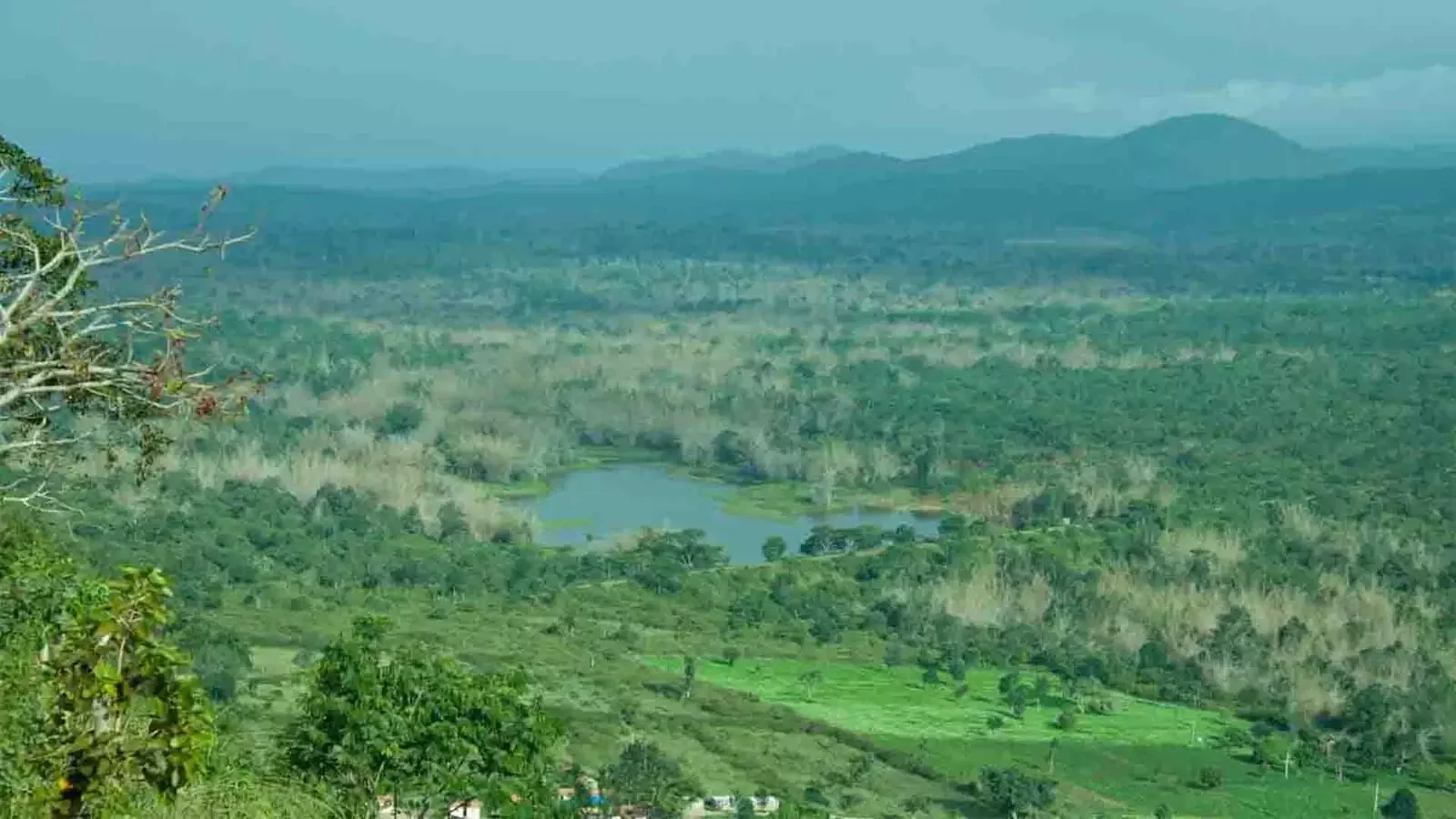 Bandipur Tiger Reserve