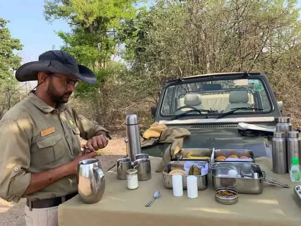 Safari in Central Indian Jungles