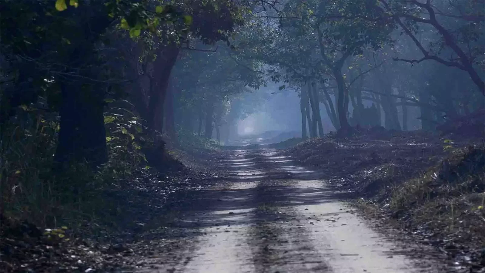 Dudhwa National Park