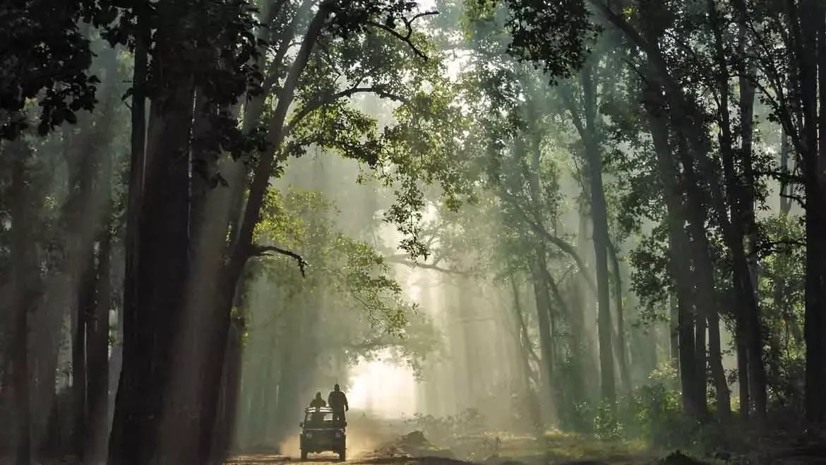 Journey to the Jungle , Wildlife Safari in India