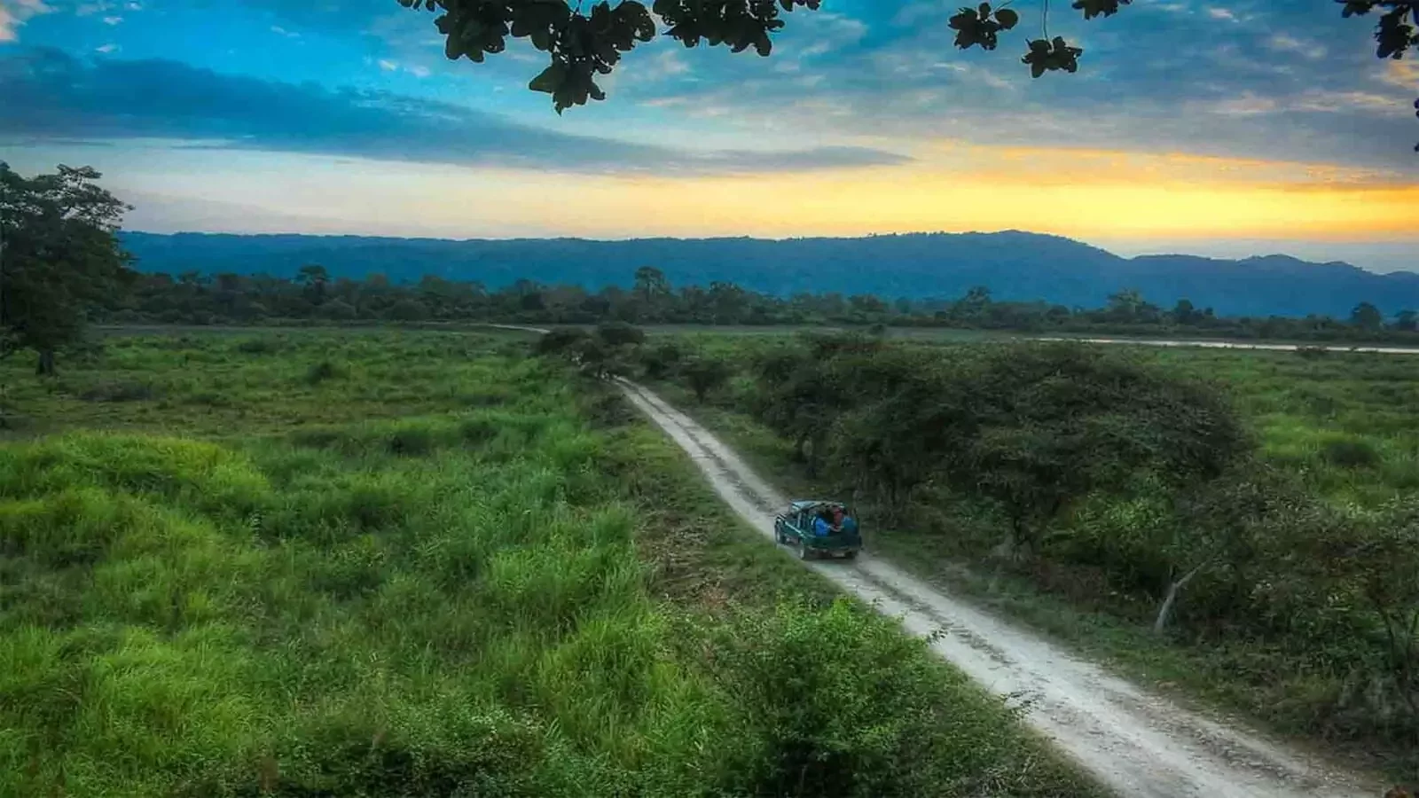 Kaziranga National Park