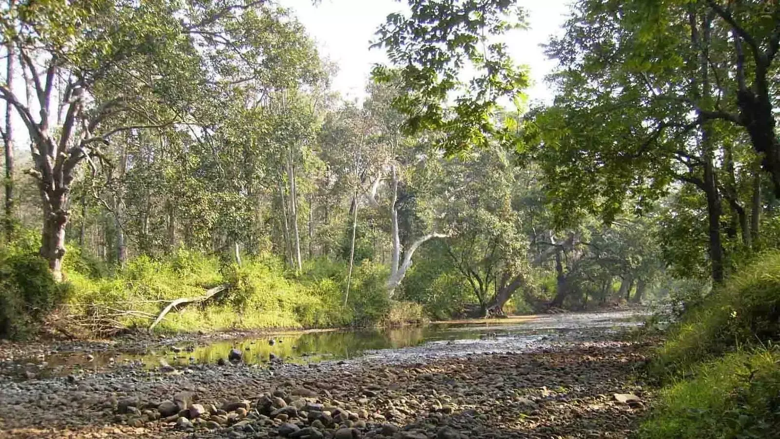 Melghat Tiger Reserve 