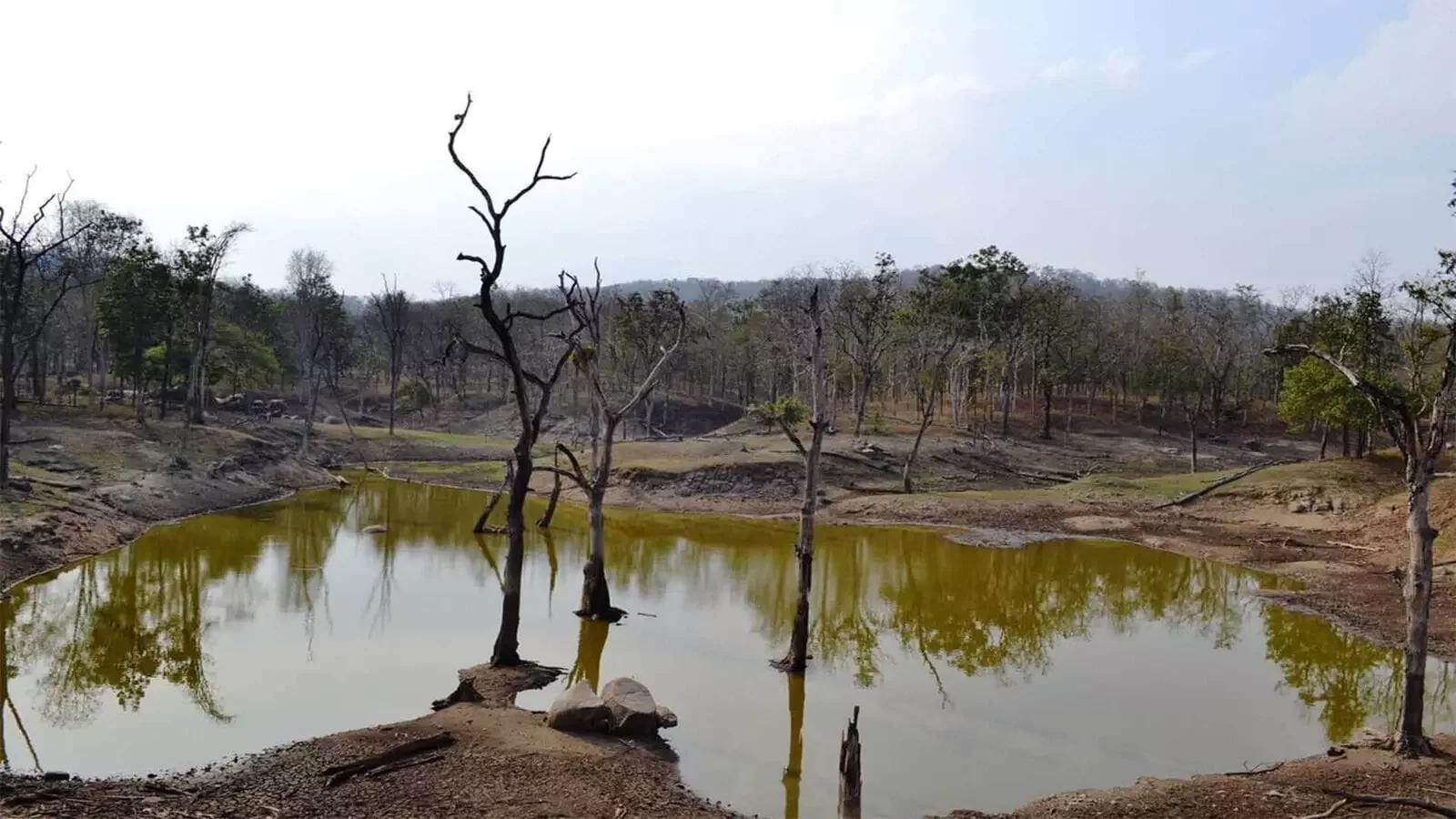 Pench National Park