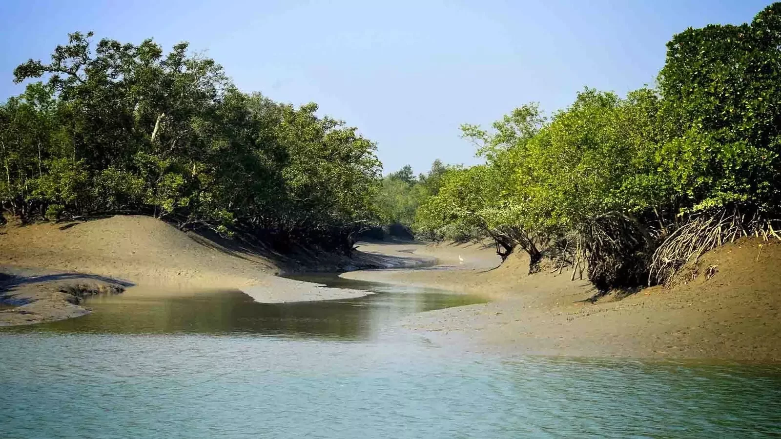 Sunderban National Park