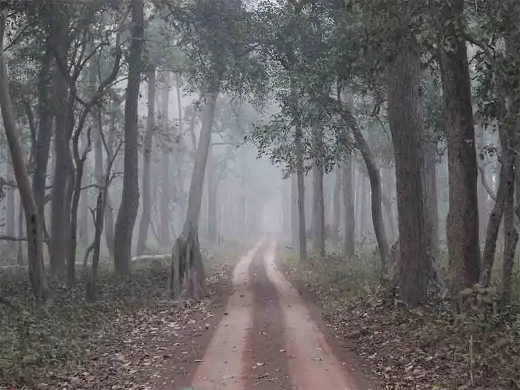 Pilibhit National Park, Kishanpur Wildlife Sanctuary 