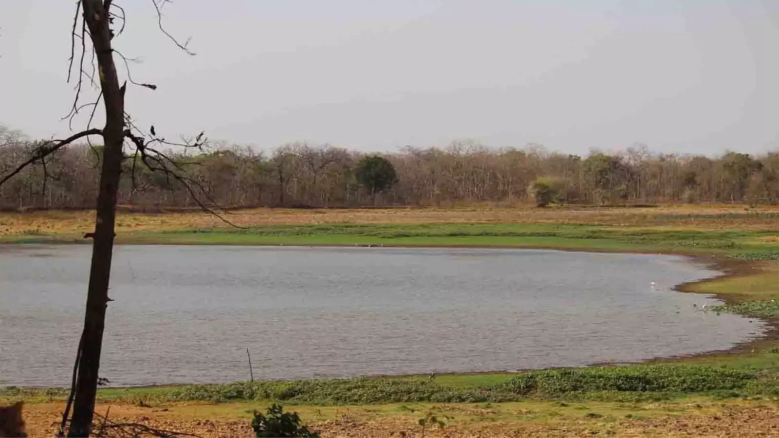 Umred Karhandla Wildlife Sanctuary