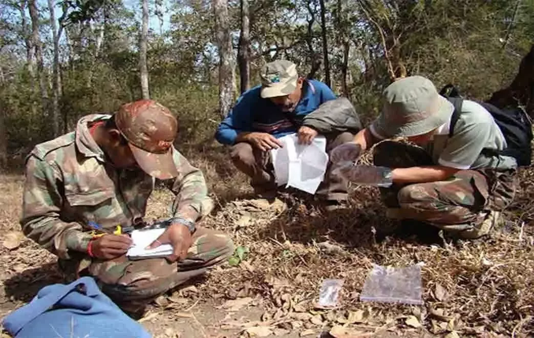 Wildlife Volunteering 